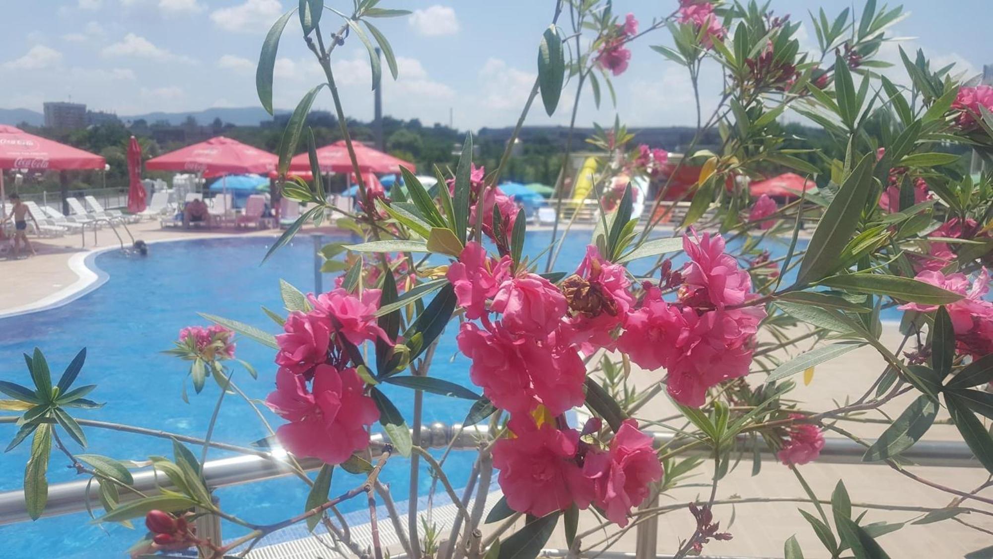Hotel Aqua Kŭrdzhali Exteriér fotografie